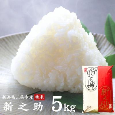 ふるさと納税 三条市 新之助 5kg 新潟県三条市産 令和7年産 [外山敏雄商店]【010S257】