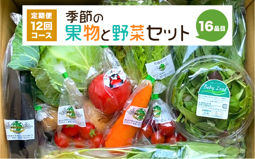 【定期便12回】 季節の果物と野菜セット 16品目_イメージ1