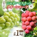 【ふるさと納税】東御市産シャインマスカット＆クイーンニーナのセット※2025年9月〜10月発送｜長野県 長野 人気 ぶどう 贈答用 ギフト 2房 フルーツ 果物 おすすめ 厳選 種無し