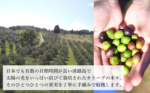 3本セット！「Virgin Valley 淡路阿利布」91ｇ（エキストラバージンオリーブオイル）【2024年度産】