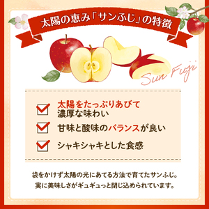 【2026年産】りんご「サンふじ」5kg よってけポポラ提供 hi003-172 （令和8年産 2026年産 リンゴ 林檎 アップル サンふじ フルーツ 果物 くだもの 箱入り 産地直送 期間限定 特
