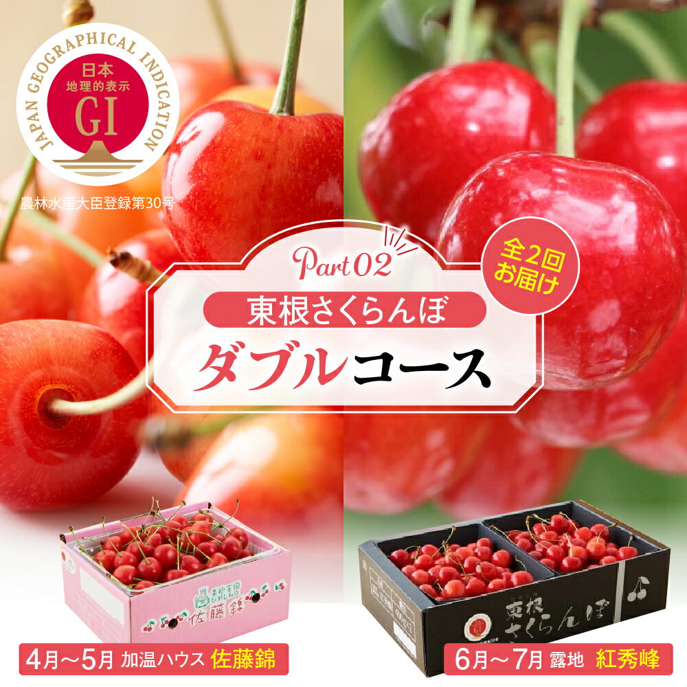 【ふるさと納税】［定期便 2回］2026年産 先行予約 東根 さくらんぼ ダブルコース part2 佐藤錦 加温 500g / 紅秀峰 800g / フルーツ 果物 くだもの 期間限定 バラ お取り寄せ 産地直送 ハウス栽培 人気 GI 送料無料 東北 山形県 東根市