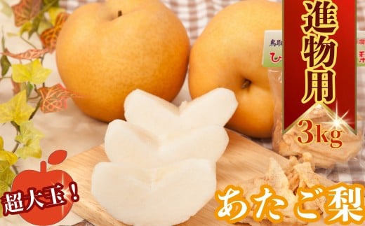 
            あたご梨 3kg【2026年11月20日頃から発送開始】ナシ なし 鳥取県産 国産 フルーツ 果物 ギフト 愛宕梨 日本一大きい梨
          