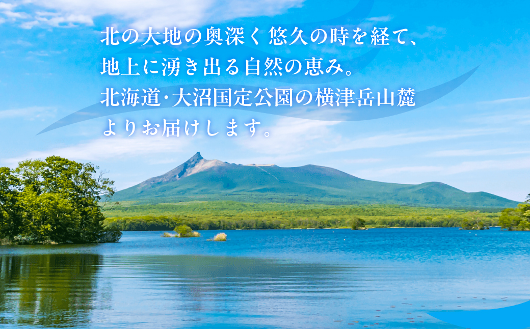 ミネラルウォーター夢水氣（500ml×24本）4セット 天然アルカリイオン水 軟水 【 ふるさと納税 人気 おすすめ ランキング 天然アルカリイオン水 天然水 ミネラルウォーター 横津岳山麓 北海道 