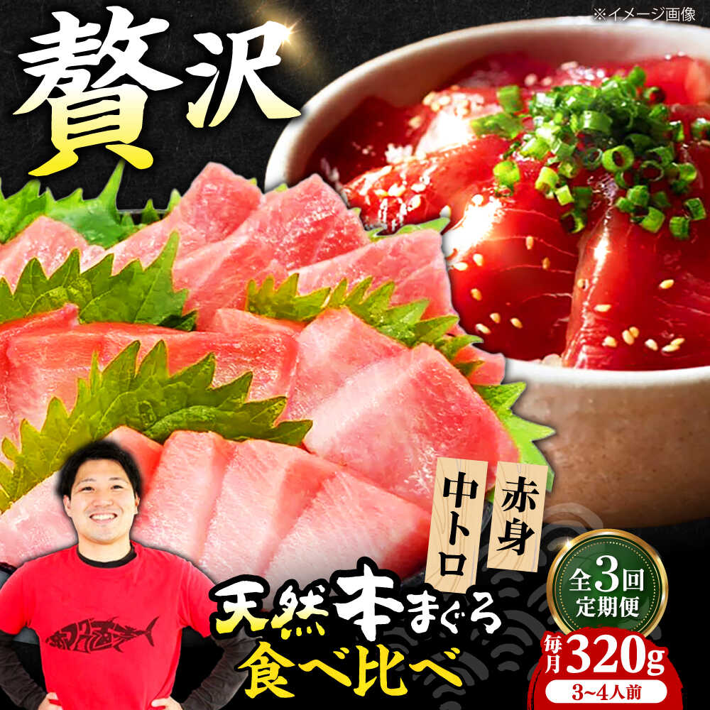 【ふるさと納税】【全3回定期便】極上！たね熟天然本まぐろ赤身＆中トロセット(320g 各160g) 天然 マグロ 鮪 中トロ 刺身 魚 赤身 大阪府高槻市/本まぐろ直売所[AOCE040]