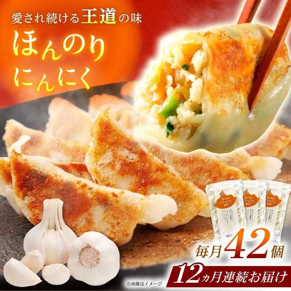 【全12回定期便】【3パック】餃子屋ヒロの ほんのりにんにく餃子 ぎょうざ[BDAS015]