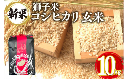 【令和6年産】獅子米 コシヒカリ 玄米 10kg コンテスト受賞米 お米 米 おこめ ブランド米 こしひかり 10キロ 国産 単一原料米 コメ こめ ご飯 銘柄米 茨城県産 茨城 産直 産地直送 農家直送 ごはん 家庭用 贈答用 お取り寄せ ギフト 茨城県 石岡市 (G420)