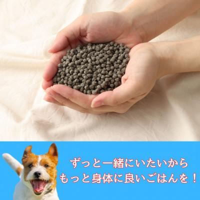 ふるさと納税 高鍋町 ちび華 500g　小粒 ( ナチュラルドライドッグフード) |  | 01