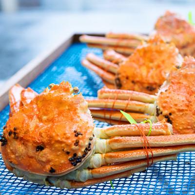 ふるさと納税 宮津市 松葉蟹 ほぐし身(特々特大) ※活き蟹1200g級使用【甲羅盛り】 |  | 01