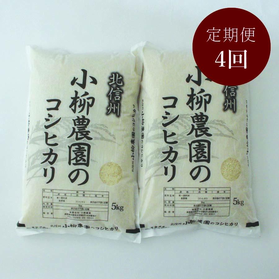 【定期便4カ月（計40kg）】小柳農園のコシヒカリ10kg（5kg×2袋）