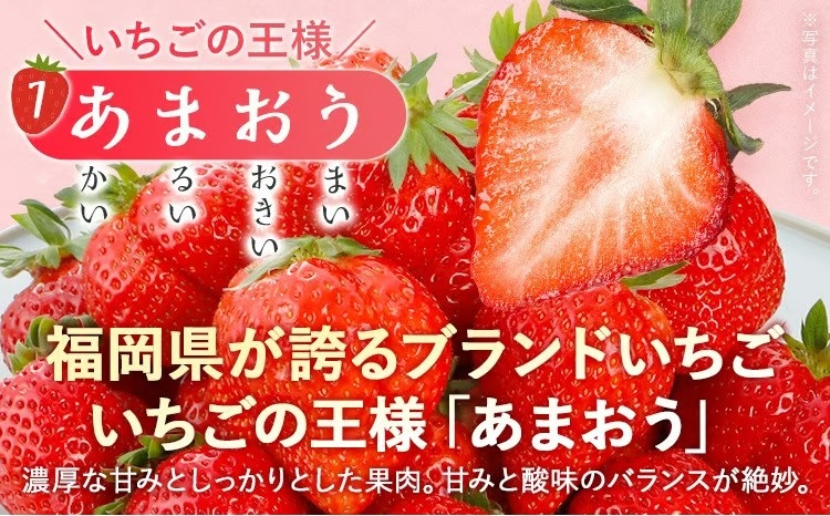  【2027年2月より順次発送】福岡いちご3種　食べ比べセット（あまおう＆かおり野＆紅ほっぺ））2026