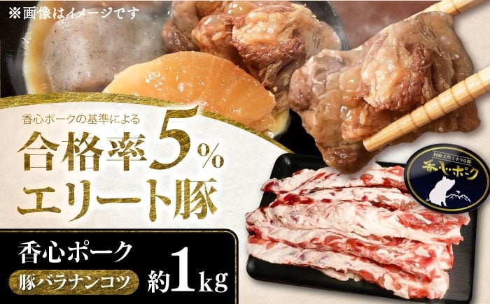 
            【香心ポーク】豚バラナンコツ約1kg / ぶた 豚肉 ぶた肉 ブタ肉 なんこつ 軟骨 ナンコツ 豚バラ バラ ばら シチュー冷凍 パイカ 豚バラ 希少 煮込み 国産 阿蘇 ミネラル 熊本 菊陽 【有限会社コーシン】 [BHAH001]
          