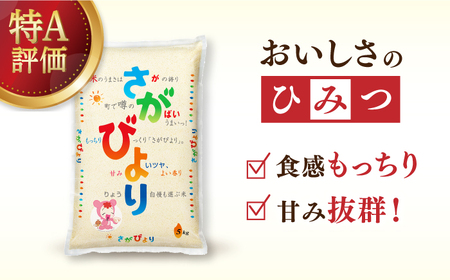 【全6回定期便】令和6年産 さがびより 白米 計60kg（5kg×2袋×6回） / 佐賀県 / 株式会社森光商店 [41ACBW033]