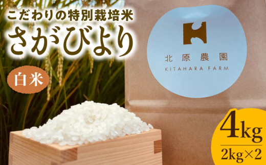 【2025年11月発送】令和7年産 新米 さがびより ( 白米 ) 4kg【北原農園】[HCA004]