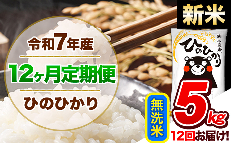 【12ヶ月定期便】新米 令和7年産 定期便 無洗米 ひのひかり 5kg 《お申込み翌月から出荷》令和7年産 熊本県産｜人気米 熊本県産米 お米 生活応援米---hn7tei_138000_5kg_mo12_gkt_m---