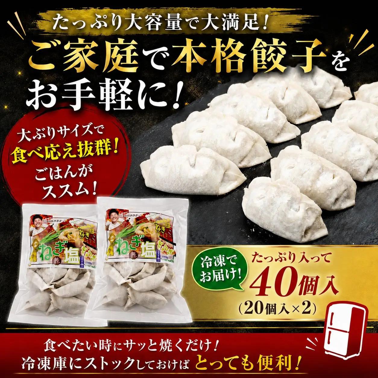東金極楽ねぎ塩ぎょうざ 2袋セット 20個入×2  餃子 ギョウザ MN