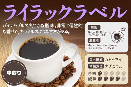 《定期便9ヶ月》コーヒー豆 自家焙煎 ホンジュラス スペシャルティコーヒー 焙煎豆 200g×1パック 中挽き【ライラック】