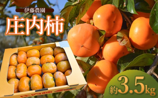 【令和8年産先行予約】庄内柿 約3.5kg 　山形県鶴岡市　伊藤農園