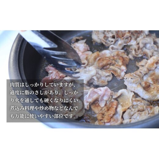 【12回定期便 総計12kg！真空個包装で便利】ありたぶた 肩ロース 薄切り 生姜焼き用 12ヶ月 連続 定期便 1kg（200g×5パック）【有田まちづくり公社】佐賀県産 有田町産 ブランド豚 あり