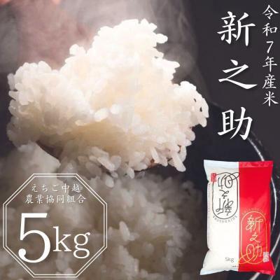 ふるさと納税 三条市 新潟県産 新之助 5kg 白米 令和7年産 しんのすけ 【010S078】