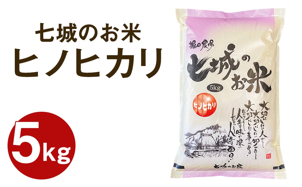 【令和7年産】 七城のお米 ヒノヒカリ 5kg 米 白米 精米 こめ コメ お米 ごはん ご飯 熊本県産 《10月中旬頃より出荷》