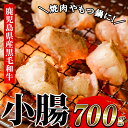 【ふるさと納税】≪数量限定≫鹿児島県産黒毛和牛の小腸 ホルモン(計700g) しょうちょう ホルモン もつ鍋 焼肉 鍋 焼肉用 焼き肉 バーベキュー 冷凍 牛肉 肉 もつ モツ 内臓 国産牛 モツ鍋 もつなべ 九州 国産 ギフト 黒毛和牛【バクロ】