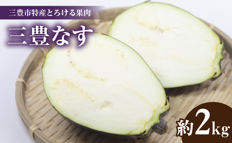 
                  三豊なす 約2kg
                
