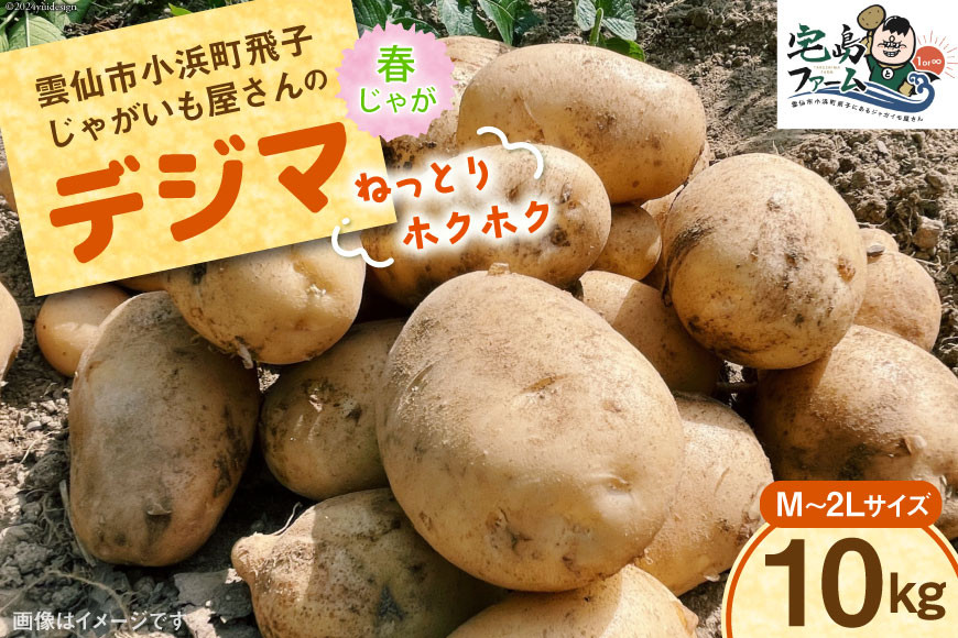 
【先行受付】 じゃがいも デジマ 10kg [宅島ファーム 長崎県 雲仙市 item1124] 野菜 ジャガイモ 10キロ デジマ 馬鈴薯 春じゃが 長崎県産 期間限定
