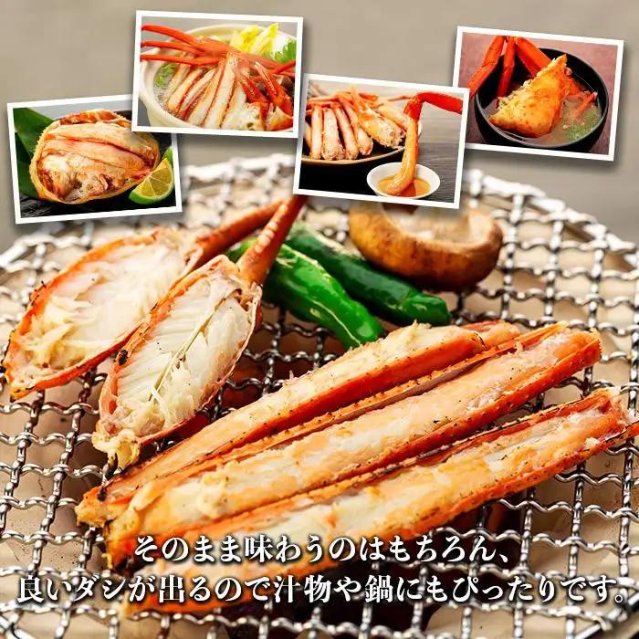 2027年3月発送【訳あり】金沢港より直送！ボイル紅ズワイガニ 大サイズ3～4杯セット かに 蟹