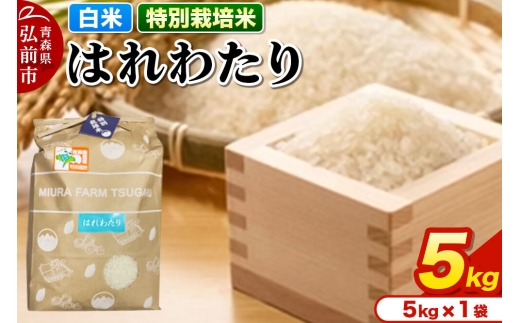【寄附金額見直しました】米【特別栽培米】はれわたり 白米 5kg 青森県弘前市産