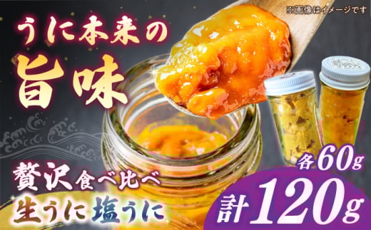 【25年6月以降発送】【予約受付中】生ウニ ＆ 一汐うに 各60g 食べ比べセット《壱岐市》【馬渡水産】 冷凍配送 ウニ 新鮮 食べ比べ 小分け 贈答 プレゼント 海鮮 魚介 希少 [JAQ024]