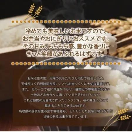 【特Aランク受賞】令和7年産　大上農園きぬむすめ精米 5kg【1725208】