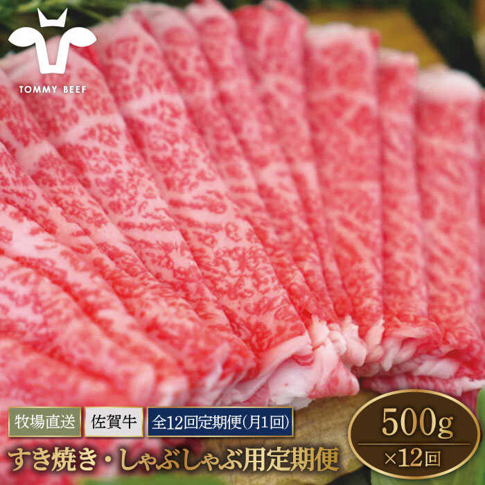【ふるさと納税】【牧場直送】【12回定期便】佐賀牛 すきやき・しゃぶしゃぶ用スライス 500g（ロース・モモ・バラ）【佐賀セントラル牧場】A4 A5 肉 牛肉 切落し 国産 和牛 国産牛 スライス 高評価 人気 おすすめ 定期便 定期 佐賀県 白石町 [IAH099]