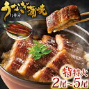 【ふるさと納税】九州産 うなぎ蒲焼 特特大 ＜選べる＞2尾/3尾/4尾/5尾 (1尾あたり250～266g) たれ・山椒付き 鰻 ウナギ 蒲焼き 特大 冷凍 国産 送料無料 鹿児島、宮崎、熊本等産うなぎ原料使用