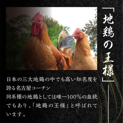 ふるさと納税 田原市 鶏三和の名古屋コーチンささみ串4本×6袋 |  | 03