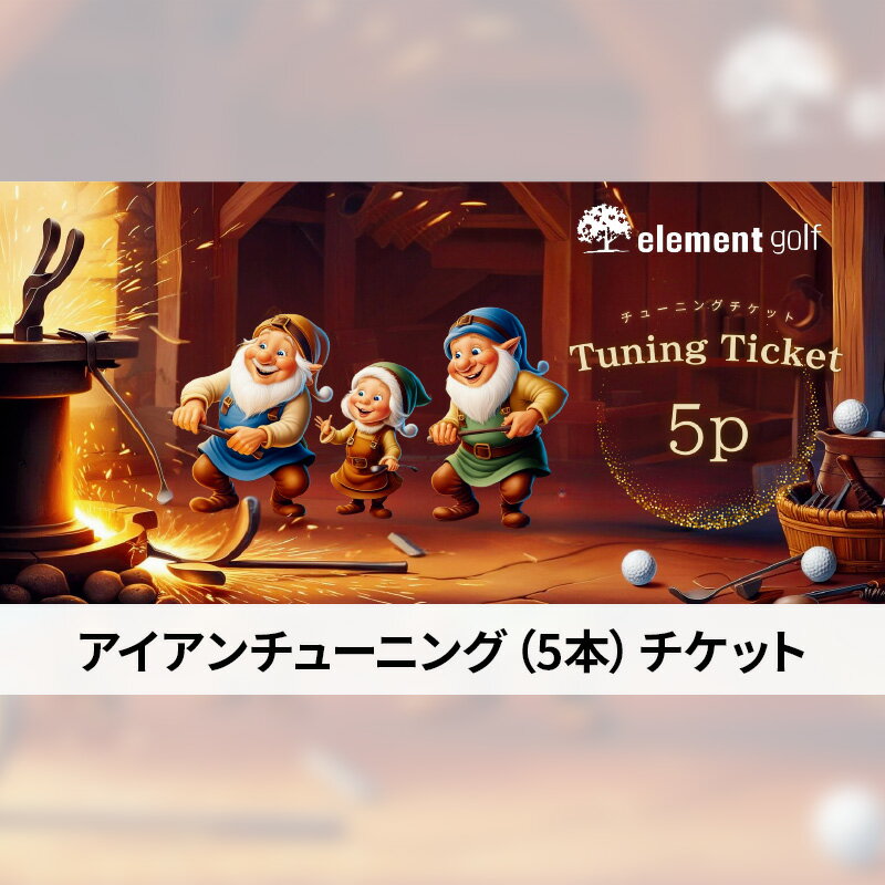 【ふるさと納税】アイアン チューニング チケット (5本) 名古屋外国語大学コラボデザインチケット ゴルフ アイアン ゴルフクラブ 調整 愛知 日進市