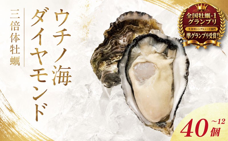 
                  牡蠣 生食用 《全国牡蠣-1グランプリ 準グランプリ受賞！》 12個～40個 生牡蠣 かき 生食 養殖 ブランド オイスター 貝 海鮮 鳴門 なると 徳島 三倍体牡蠣 ウチノ海ダイヤモンド
                