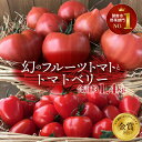 【ふるさと納税】長田農園人気の最強セット ファーストフルーツトマト トマトベリー セット 各 700g 計 1.4kg ミニトマト トマト リコピン 野菜ソムリエサミット 金賞 受賞 長田農園 産地直送 野菜 やさい フルーツ サラダ 国産 産地直送 お取り寄せ 愛知県 碧南市 送料無料