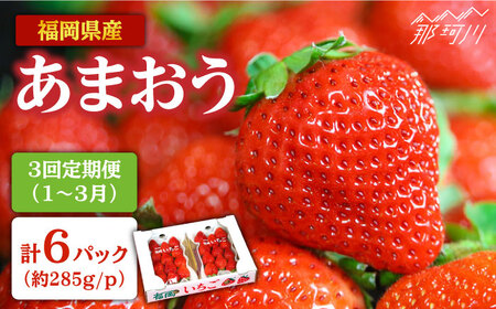 【全3回定期便】2026年1月よりお届け いちご あまおう 約285g×2P 『自然環境農法』栽培＜おおきべりー株式会社＞那珂川市  いちご いちご いちご いちご いちご いちご いちご [GZE003]