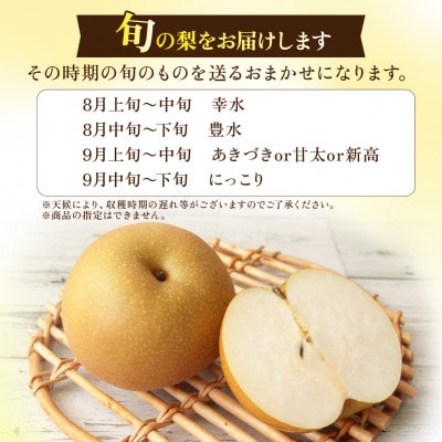 完熟甘梨 5kg 10～16玉 【2026年収穫分】かすみがうら市【配送不可地域：離島・沖縄県】
