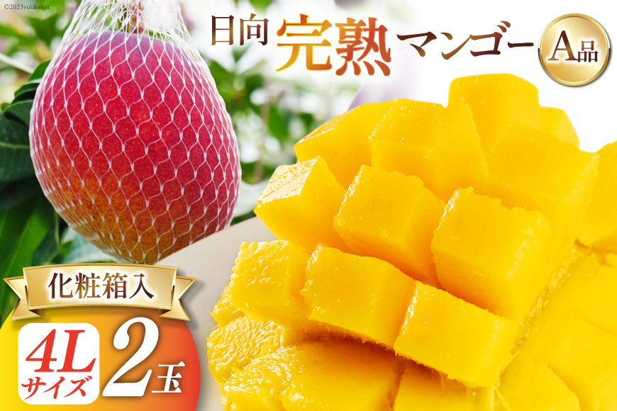 【2026年夏発送】 宮崎 完熟 マンゴー 秀品 A品 4L×2玉 化粧箱入り [宮崎県農業協同組合日向地区本部（販売課） 宮崎県 日向市 452061561] 果物 フルーツ 完熟マンゴー 甘い 日向 化粧箱 期間限定 冷蔵