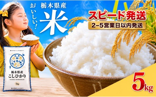 【スピード配送】【令和7年産】【訳あり】 米 白米  5kg こしひかり  | 米 お米 こめ コメ 白米  ライス ご飯 ごはん 美味しい 米  こしひかり コシヒカリ 5kg 銘柄米 ブランド米 令和7年産  国産 国産米 栃木県産 お米 栃木県産米 お取り寄せ  2025年産 米 kome 栃木県 真岡市