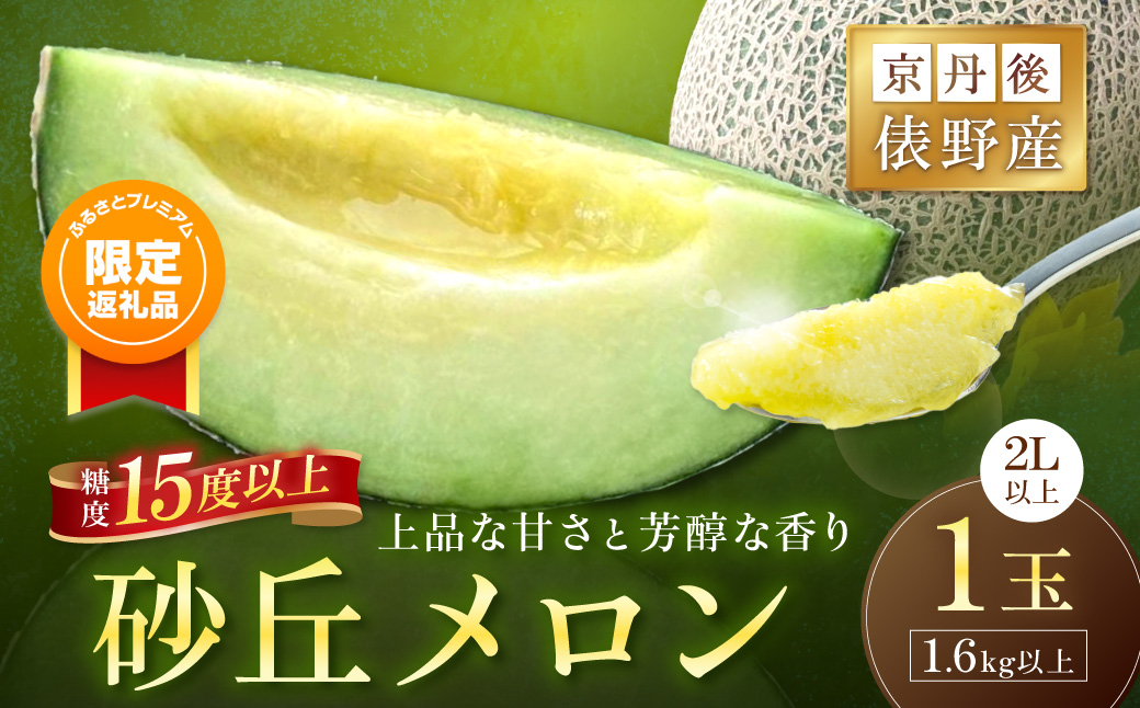 【ふるプレ限定品】【特別寄附額】【先行予約】京丹後・俵野産 砂丘メロン 2L以上 1玉（2026年7月下旬～発送）　IU00001P