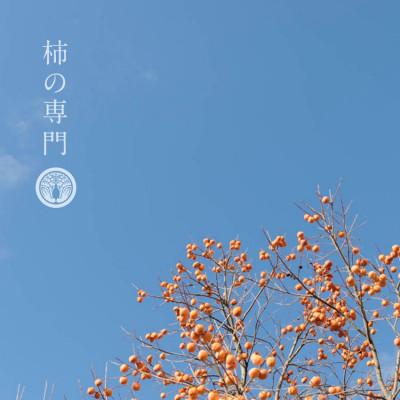 ふるさと納税 奈良県 有機JAS認証  柿の葉茶　350ml×24本 |  | 03