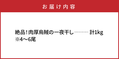 2366R_絶品！肉厚烏賊の一夜干し1kg