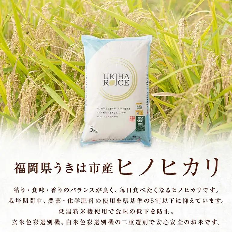 【ふるさと納税】玄米 ひのひかり UKIHA RICE 3kg 特別栽培米 ヒノヒカリ 令和7年産 米 こめ ご飯 コメ ごはん ヘルシー 送料無料 国産 国産米 福岡 返礼品 お弁当 家庭用 ギフト