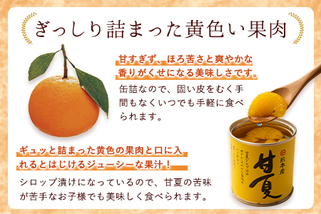 甘夏缶詰24缶入り (12缶×2箱)《60日以内に順次出荷(土日祝除く)》熊本県 葦北郡 津奈木町 あしきた農業協同組合 JAあしきた 柑橘 甘夏 あまなつ フルーツ 果物 缶詰 送料無料