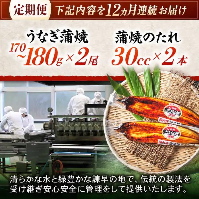 【12回定期便】【諫早淡水】特大うなぎ蒲焼2尾 / 特大 うなぎ ウナギ 鰻 国産うなぎ 国産鰻 蒲焼き 蒲焼 かばやき うな重 うな丼 / 諫早市 / 諫早淡水株式会社 [AHAT056] 30万 
