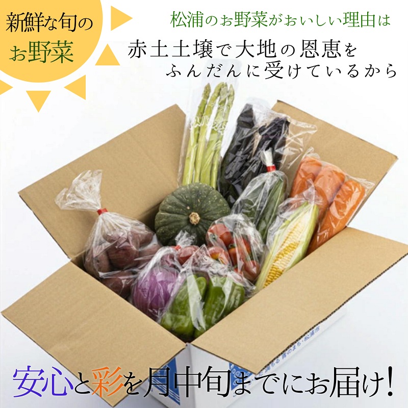 米5kgと卵20個付き！野菜の詰め合わせ定期便10回(中旬)【定期便】【K00-008】