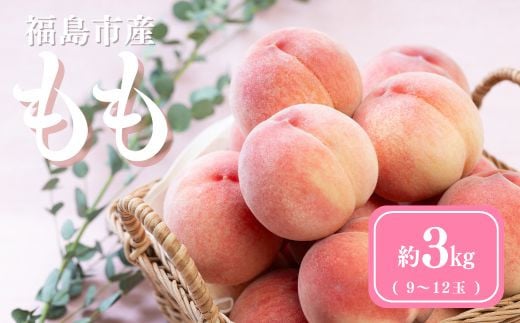 
            No.3061 道の駅ふくしま 福島市産もも　約3kg（9玉～12玉）
          